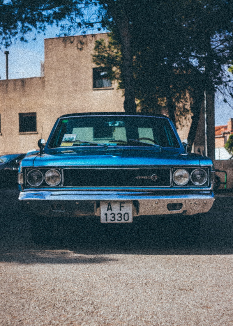 parked, drive, plate number, car, blue, shade, windshield, transportation, asphalt, street, tree, plant, bumper, 2K, design, coupe, vintage car, city