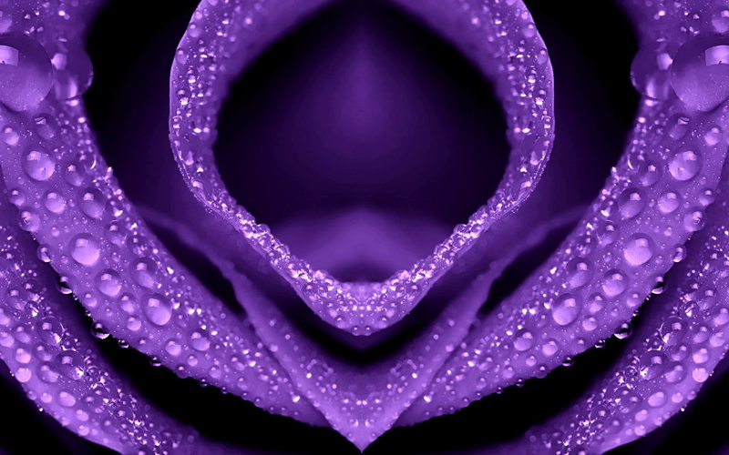 flowers, nature, purple, drip, 3d and abstract, flower, 1080P