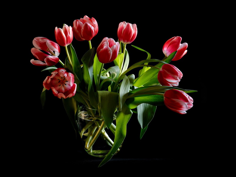 bunch of flowers, close-up, freshness, tulip, no People, vase, flower Head, arrangement, vibrant Color, nature, flowers, yellow, beauty In Nature, summer