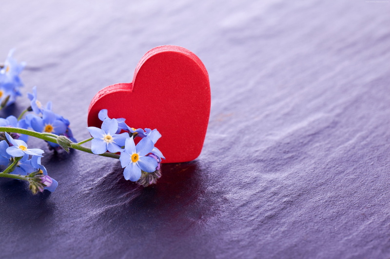 love, flowers, February 14, hearts, 2K, Valentines Day