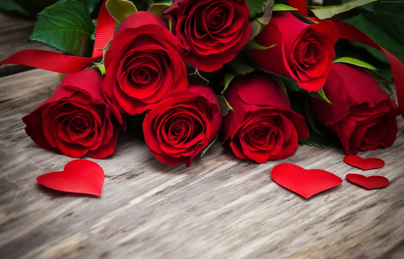February 14, Valentines Day, 4K, 4k, flowers, roses