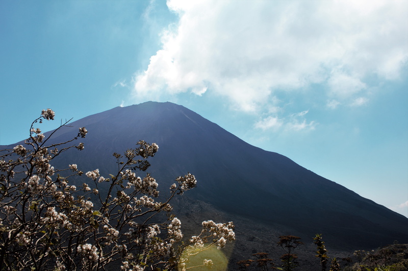 ash, sunny, mountain peak, gas, scenics - nature, volcanic, geology, idyllic, vegetation, sky, plant, flora, beauty in nature, tranquil scene, cloud - sky