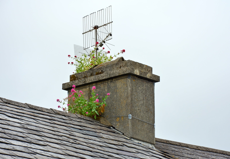 bird, fireplace, exhaust gases, 5K, unused, schull, building exterior, nature, animal themes, outdoors, residential district, roof, signal, clear sky