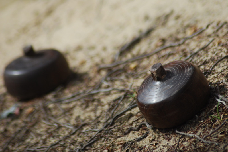 area, 4K, animal, outdoors, shell, black color, rock, wood - material, animal themes, animal shell, animal wildlife, animals in the wild, solid, gasing