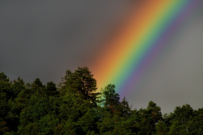 weather, close, nature, double, natural wonders, beauty in nature, rain, rainbow, tranquility, natural spectacle, scenics - nature, sun, color, natural phenomenon