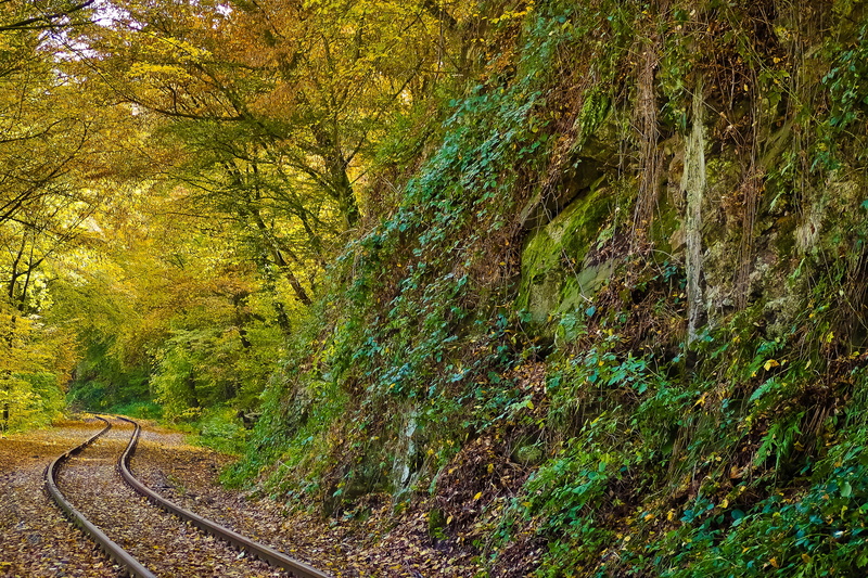 golden, autumn mood, train, autumn forest, stone wall, nature, scenics - nature, growth, land, railway, golden autumn, stone, fall color, autumn, farbenspiel