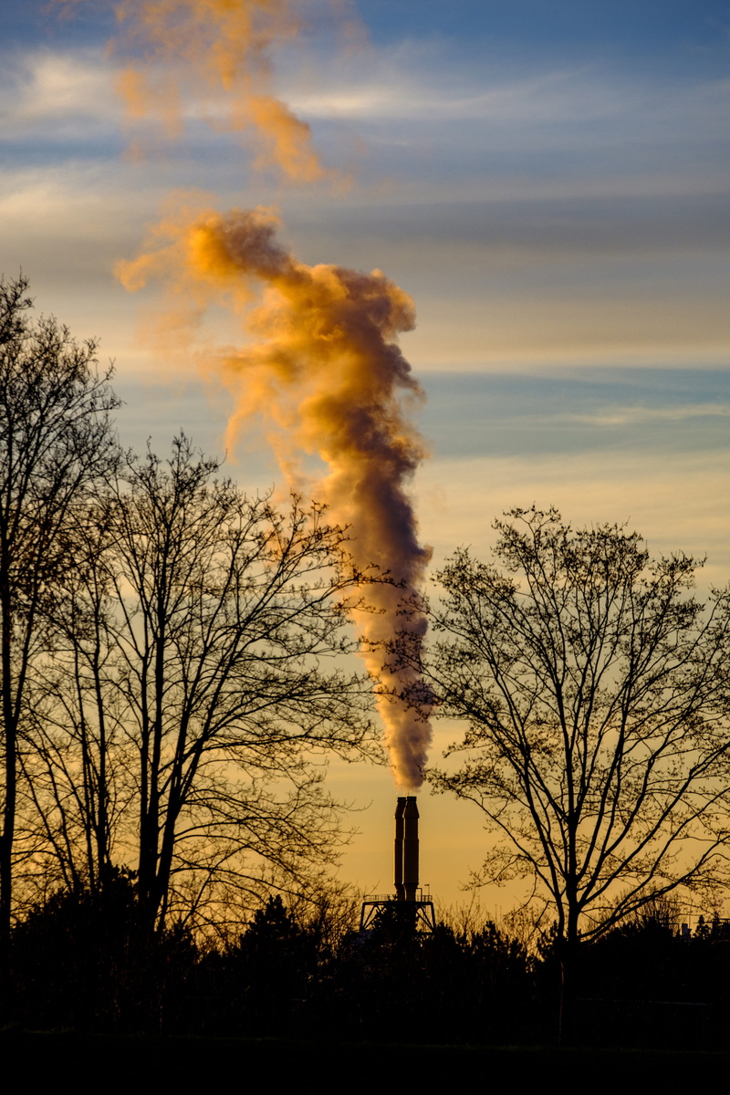 sky, orange color, plant, air pollution, 5K, bare tree, emitting, land, silhouette, idyll, no people, environmental issues, atmospheric, nature, pollution