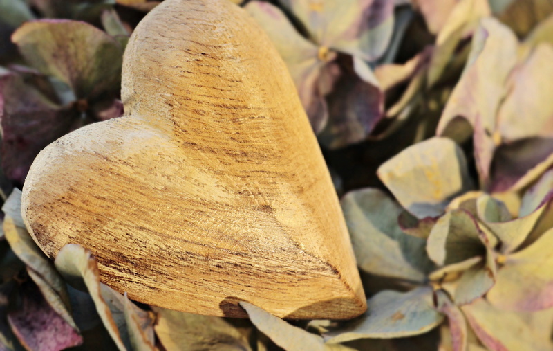 5K, wooden heart, greeting card, day, nature, heart, valentine, symbol, gratitude, decor, template, brown, happy, hydrangea, valentines day, feelings