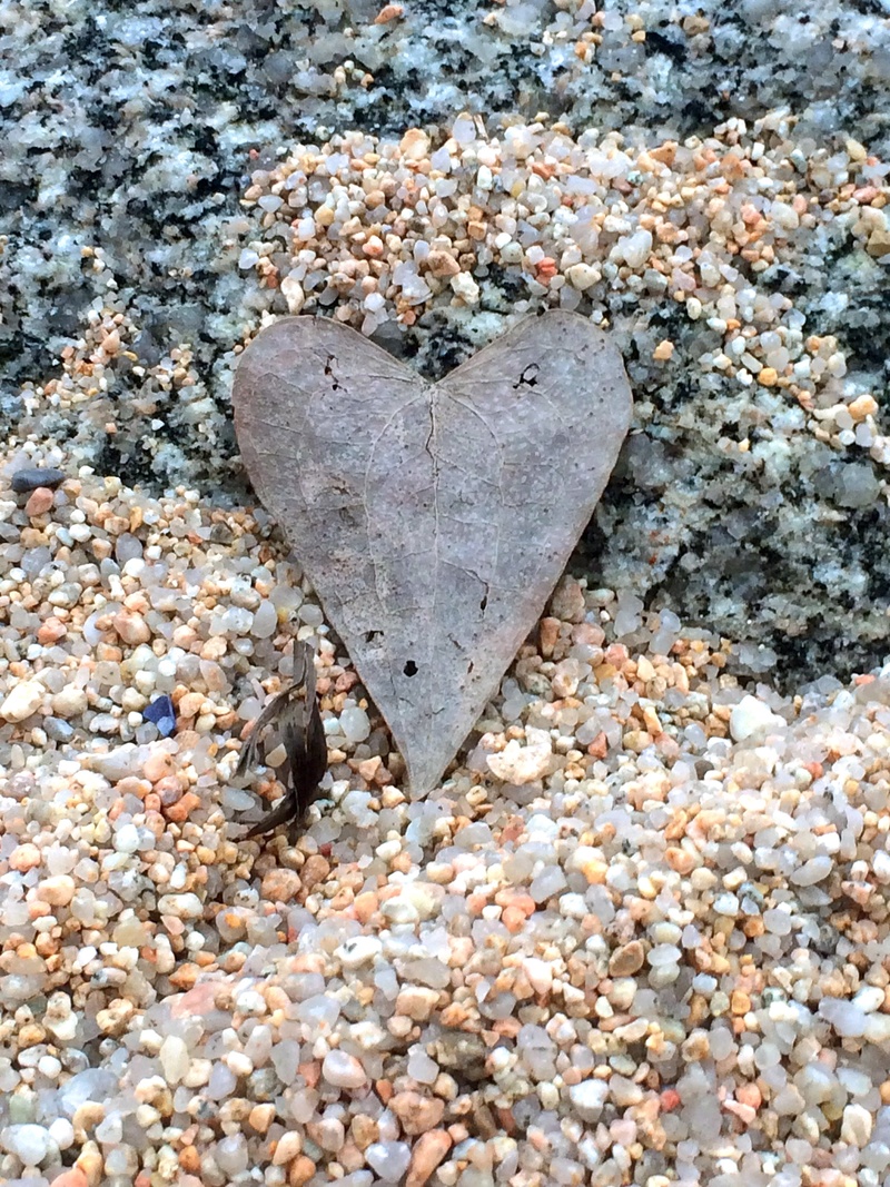 herzchen, land, solid, stone, close-up, valentines day, plant, positive emotion, rock, textured, romantic, nature, beautiful, summer, romance, autumn, shape