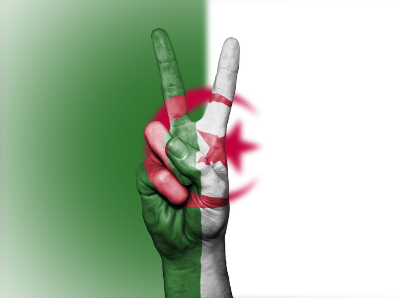 symbol, close-up, human hand, nationality, human body part, studio shot, peace, white background, state, creativity, paint, flag, algerian, red, human finger