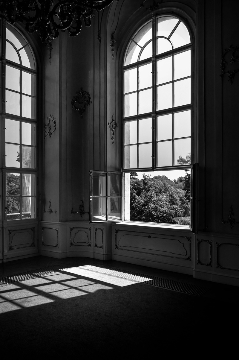 photography, hungarian, transparent, flooring, Hungary, landmark, 4K, tower, monument, historic, plant, eastern, handle, europe, black and white, Castle
