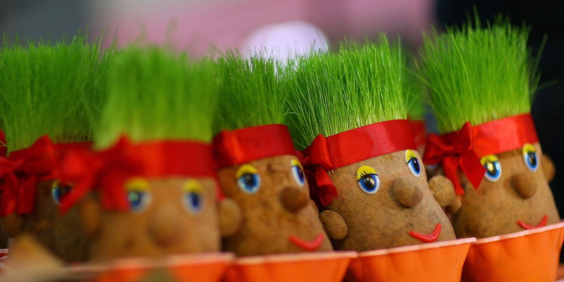1080P, holiday, iranian, iran, new, persian, persia, spring, year