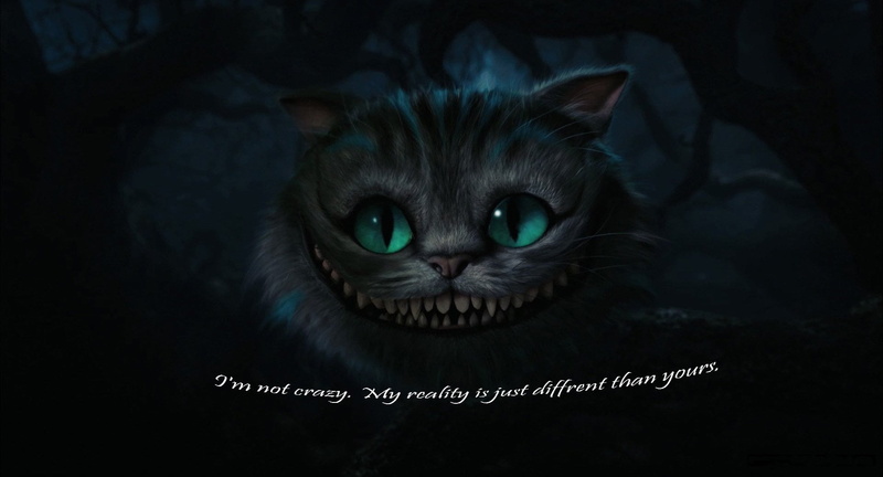 Cheshire Cat (Alice in Wonderland), vertebrate, animal body part, domestic animals, whisker, eye, people, close-up, portrait, mammal, domestic cat, indoors