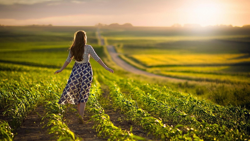 hairstyle, long hair, teenager, rear view, hair, land, environment, farm, freedom, dress, one person, plant, outdoors, 1080P, springtime, adult, nice girl pic 1920x1080