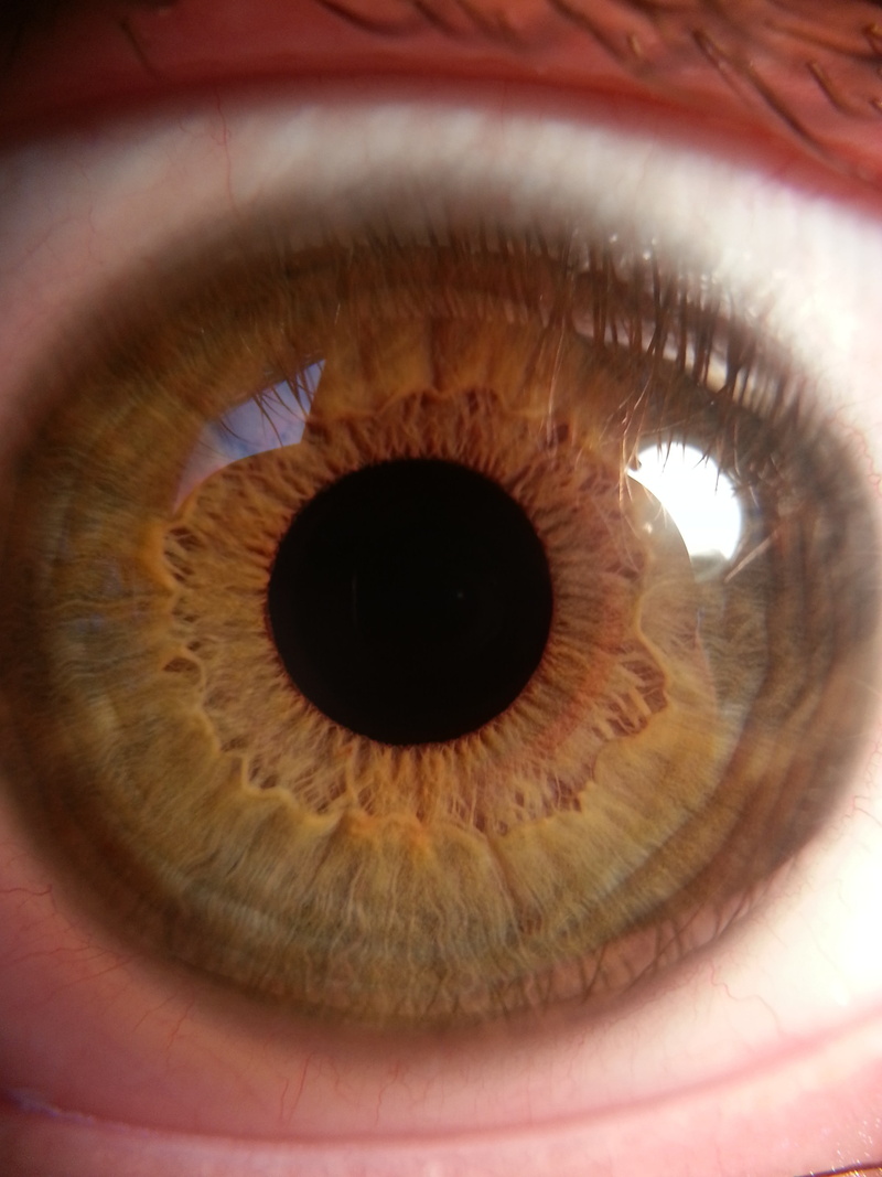 extreme close-up, front view, eye, eyes, human eye, adult, looking, eyelash, iris - eye, close-up, human body part, eyeball, eyesight, reflection, 2K