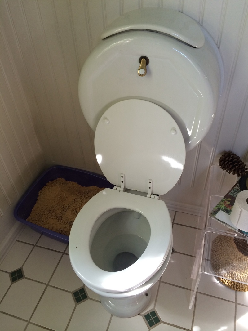 neat, flooring, high angle view, clean, household fixture, domestic life, flushing toilet, domestic room, old fashioned, 1080P, domestic bathroom, no people