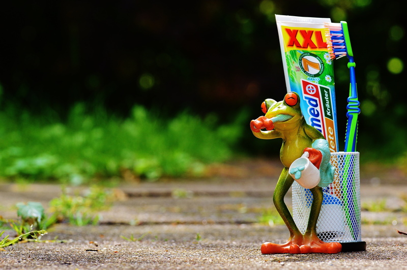 bless you, toothpaste, frog, dental care, cute, dental hygiene, brush, arts culture and entertainment, basket, focus on foreground, hygiene, funny, cleanliness