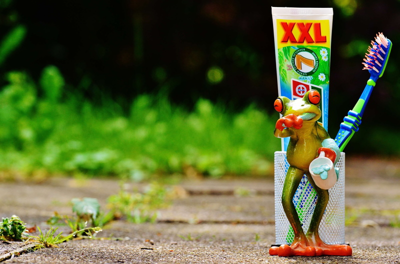 toy, dental care, 4K, creativity, art and craft, representation, focus on foreground, brush head, bless you, toothbrush head, frog, multi colored, cute