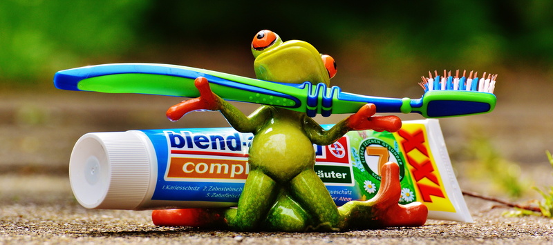 multi colored, cute, creativity, tooth, toy, cleanliness, frog, brush head, choice, water, toothbrush, red, day, toothbrush head, brush, 5K, eyed, focus on foreground