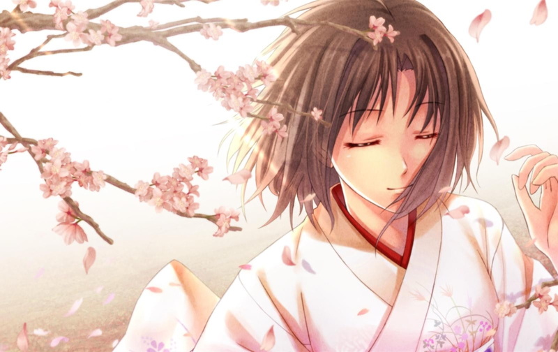bangs, beautiful woman, headshot, cherry blossom, real people, 720P, beauty in nature, anime girls, hair, nature, anime, young women, kimono, one person