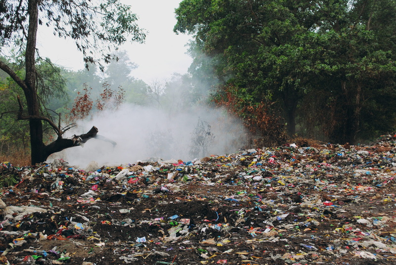 excrement, can, fog, adult, bin, environment, bad, woods, lifestyle, no people, person, dump site, environmental damage, looking, bag, odor, messy, smell