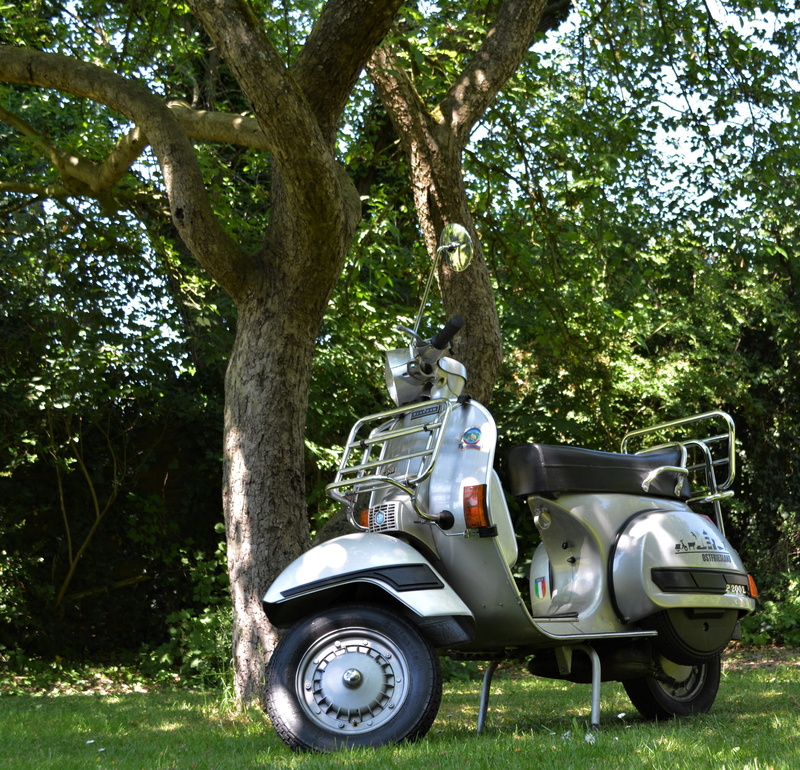 growth, field, fun, flitzer, retro, two wheeled vehicle, vespa, outdoors, plant, roller, park - man made space, motor scooter, oldtimer, 2K, grass, p200e
