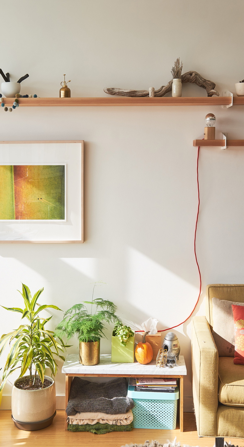 luxury, lifestyles, no People, interior, domestic Room, day, art, electric Lamp, publication, house, shelf, home, potted plant, table, kitchen, potted