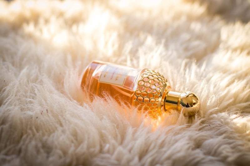 health, communication, therapy, studio shot, plant, clear, rug, summer, color, gold, treatment, selective focus, close-up, 5K, indoors, connection, fur