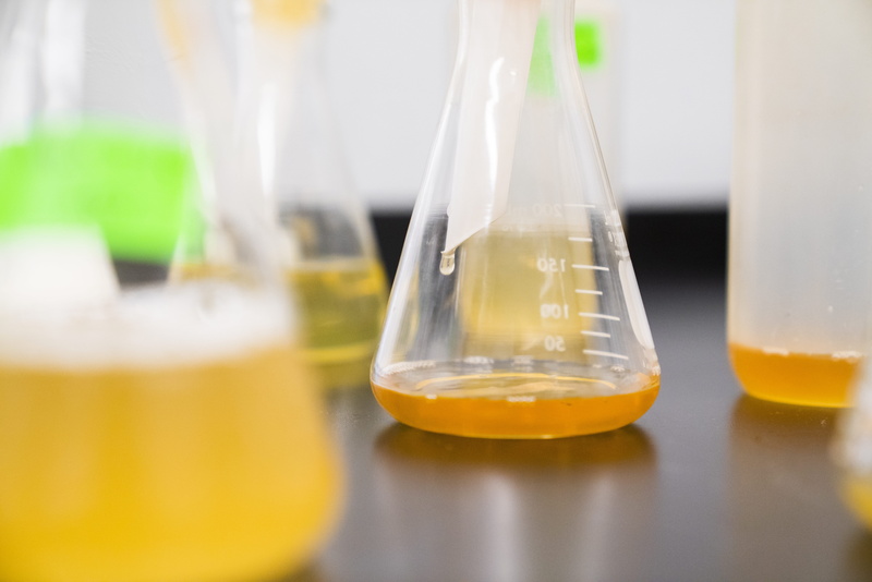biochemistry, flask, medical research, close-up, selective focus, alcohol, laboratory, juice, beer, biotechnology, drink, erlenmeyer, analyzing, education