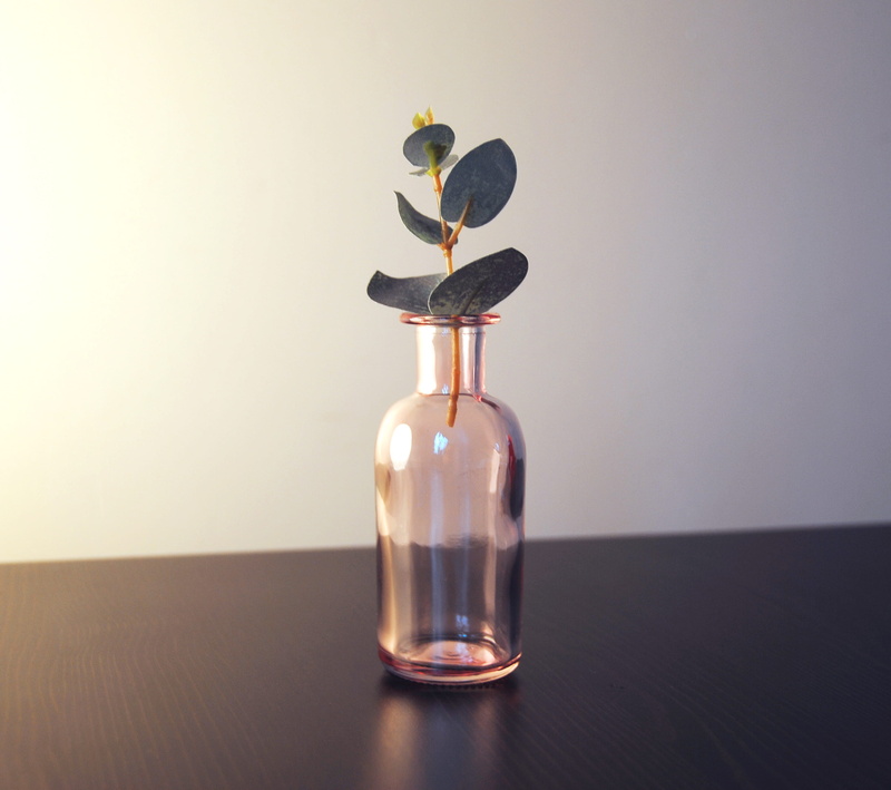 food and drink, wood - material, bottle, drinking glass, photography, flowering plant, jar, nature, green, vase, leaf, 2K, indoors, table, glass, indoor