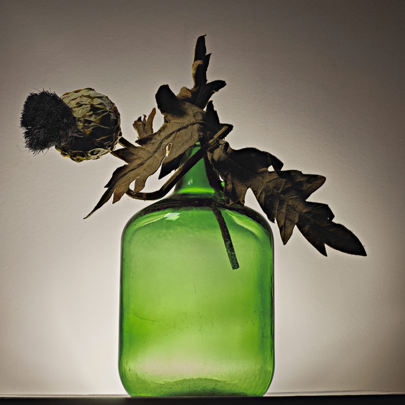 colored background, bottle, green, animal themes, animal, 4K, green Color, sculpture, close-up, vase, green glass, leaf, no People, brown, nature, indoors