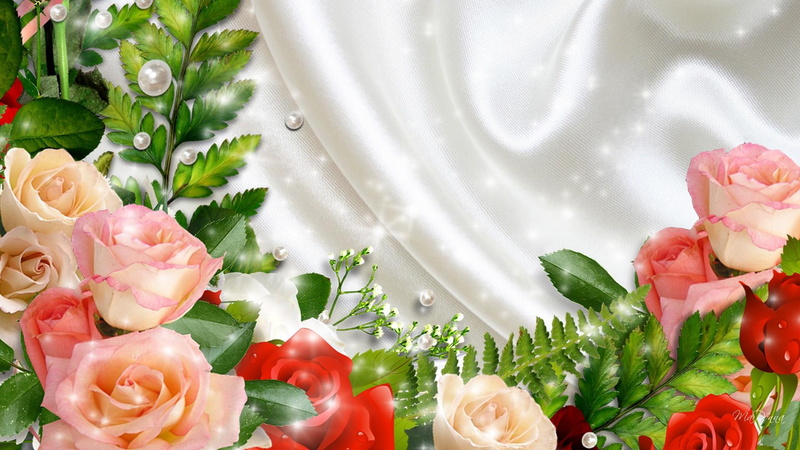 romantic, bright, summer, ferns, white, shine, spring, glitter, stars, roses, satin, silk, 1080P, brilliant, nature