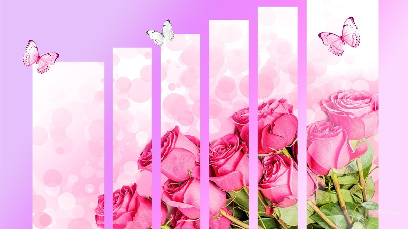 1080P, butterf, roses, rose, flowers, pink, bouquet, butterfly, special, painting, papillon, panels, bokeh, spring, panel, anniversary
