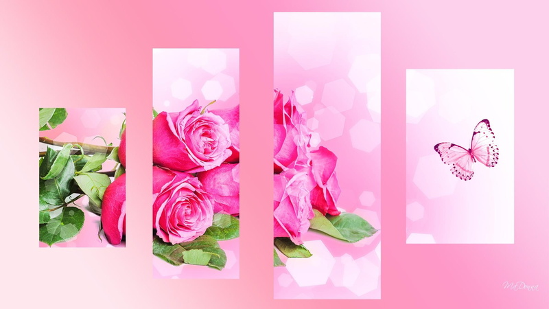 romantic, romance, cut, pink, roses, valenti, butterfly, summer, 1080P, artistic, papillon, flowers, spring