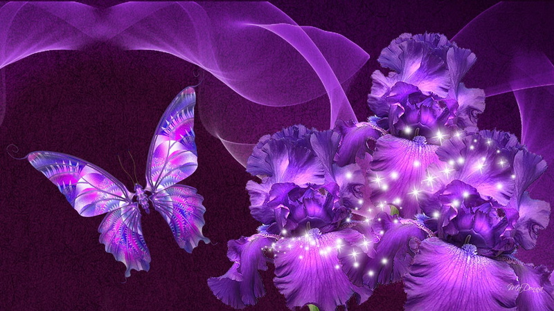 shine, summer, purple, iris, stars, ribbon, flowers, butterfly, spring, silk, 1080P, nature and landscapes, beauty