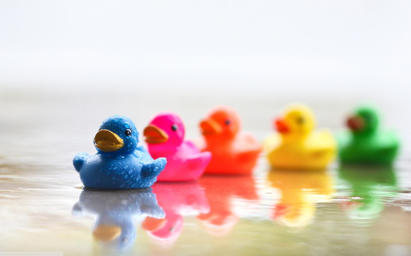 green, colourful, rubber, ducks, 3d and abstract, duck, blue, yellow, 2K, pink