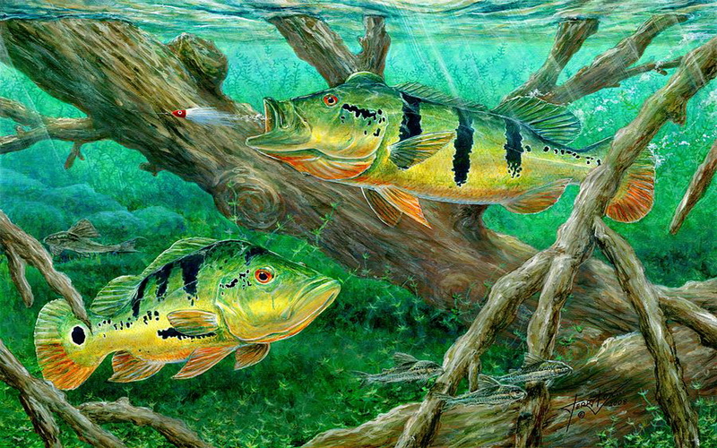 yellow, peacock, sea, fish, animal themes, 4K, undersea, animal, vertebrate, marine, canvas, animal wildlife, coral, hd, nature, swimming, bass, fishing