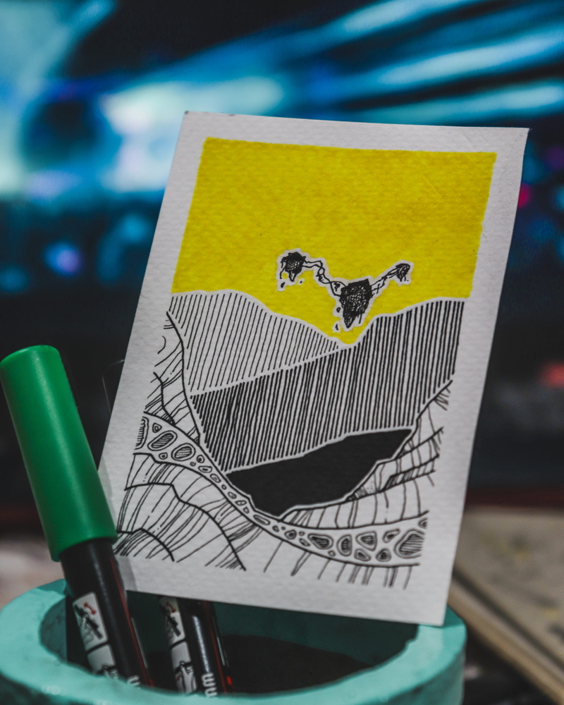 close-up, human representation, sticker, alphabet, flyer, no people, 4K, wildlife, creativity, file binder, file folder, mammal, focus on foreground, envelope