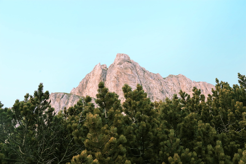 mountain, tree, brochure, larch, beauty in nature, fir, plant, wilderness, mountain range, low angle view, tranquil scene, conifer, plateau, background