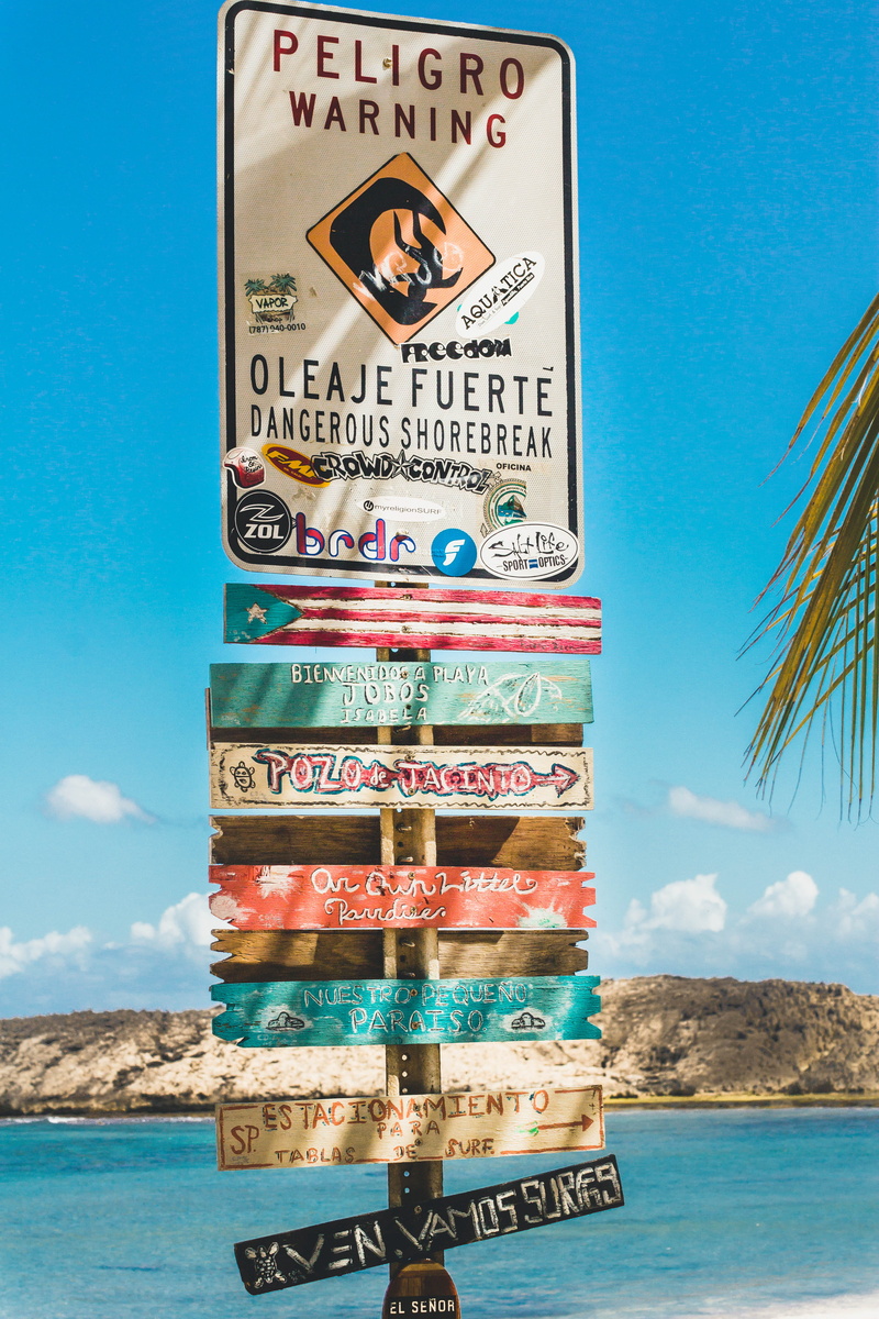information, travel, palm tree, brochure, script, blue, guidance, building, plant, travel destinations, flyer, motel, ocean, no people, information sign