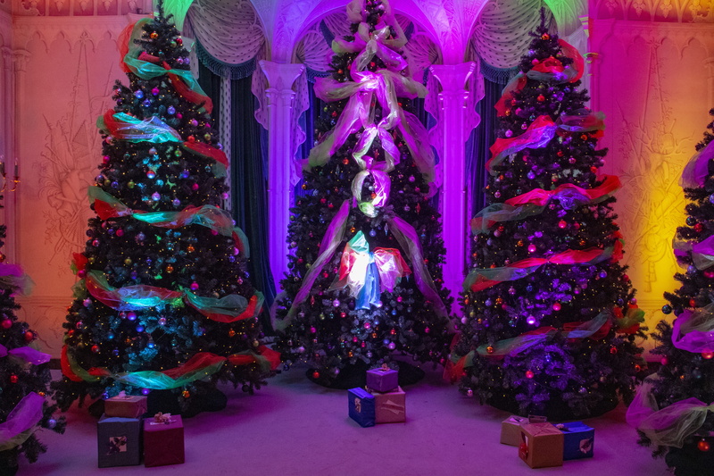 mottisfont house, christmas tree, purple, decoration, baubles, indoors, 5K, plant, gifts, ornament, decorations, romsey, architecture, lights, flower