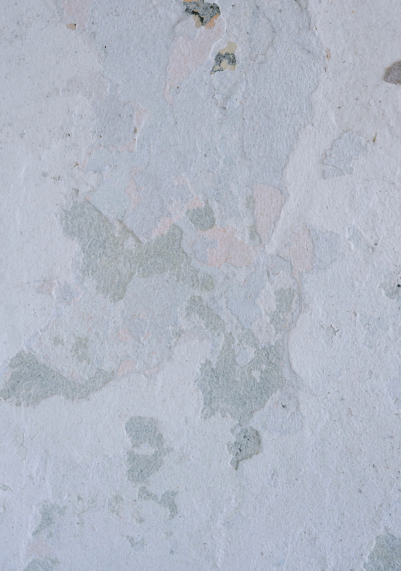 invertebrate, old, rough, stain, wall - building feature, 4K, limestone, representation, bottle, outdoors, marble, design, slate, white, solid, art and craft