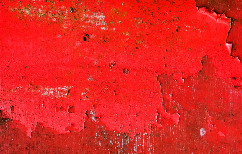 bird, red, paint, vibrant color, modern art, weathered, concrete, alphabet, no people, old, fashion, full frame, invertebrate, close-up, paper, building exterior