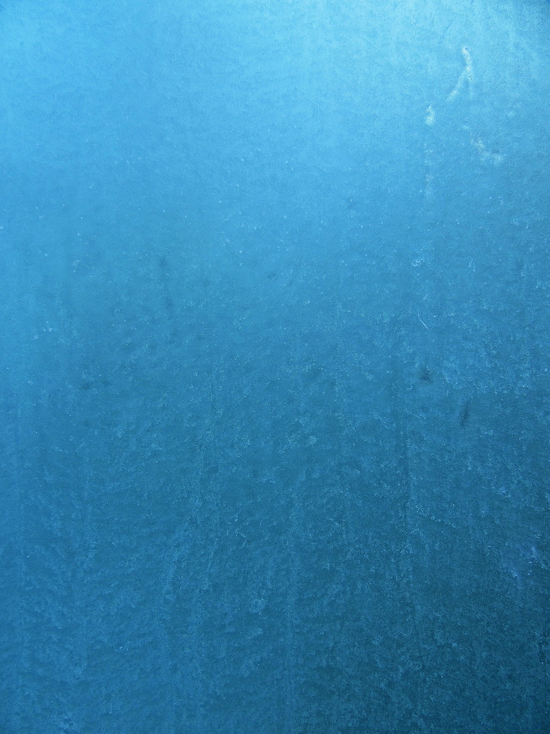 outdoors, spandex, clean, animal, paper, 2K, close-up, tissue, towel, abstract, beauty in nature, nature, backgrounds, reef, undersea, paper towel, texture