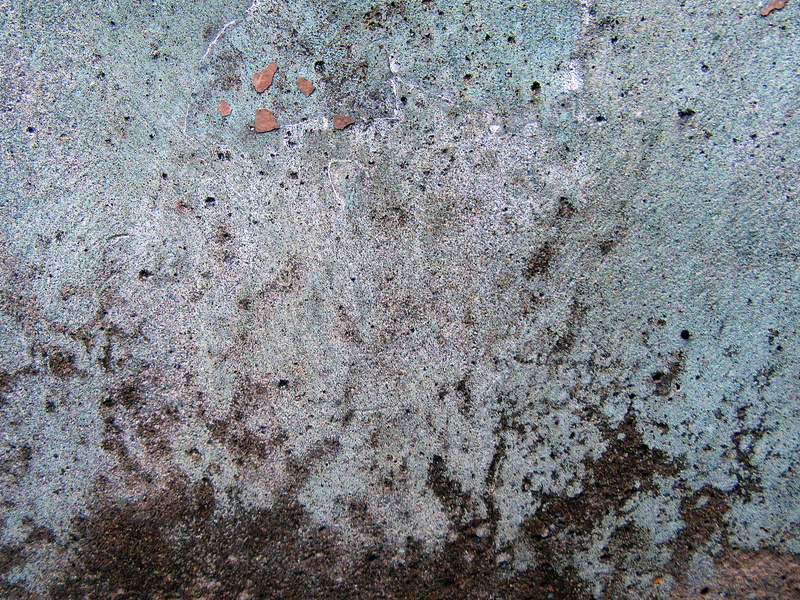 2K, coat, built structure, wall, outdoors, apparel, weathered, no people, day, nature, mold, wall - building feature, clothing, close-up, architecture