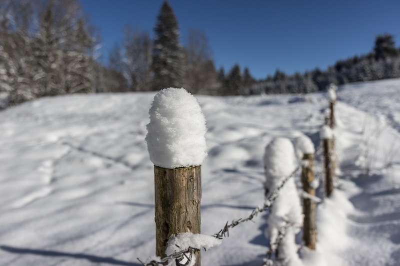 steingaden, backcountry skiiing, plant, fence, tree, pasture fence, snowy, focus on foreground, land, post, 4K, covering, outdoors, day, cold, frozen