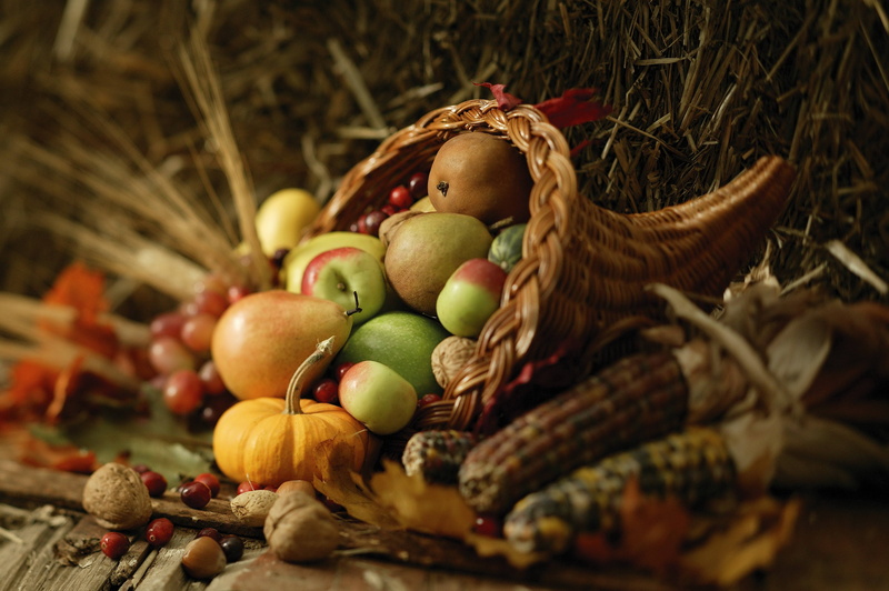 thanksgiving, artificial, still Life, multi Colored, holiday, nature, leaf, nut, plant, season, organic, cultures, wood - Material, plant part, christmas ornament