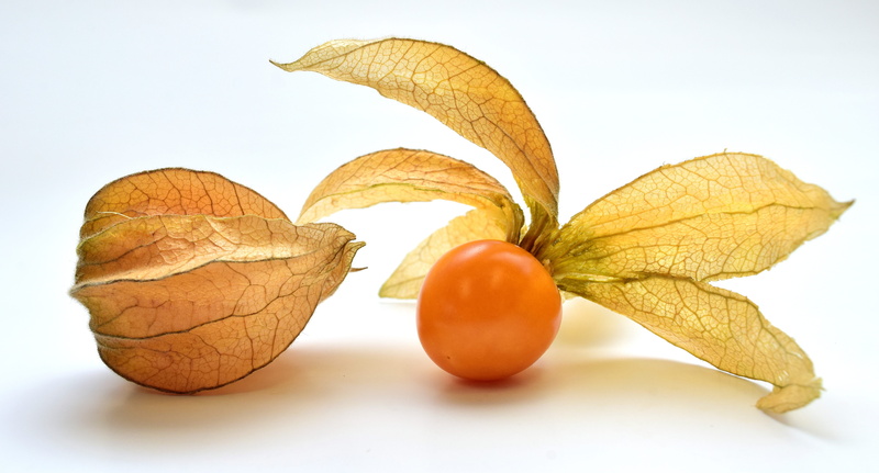 cape gooseberry, cut out, nature, close-up, raw food, group of objects, exotic, natural product, sweet, food-photography, healthy lifestyle, freshness
