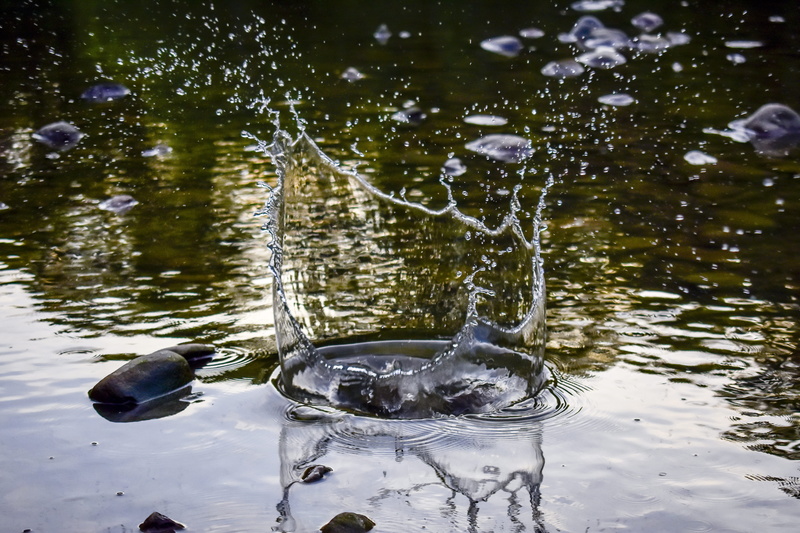 nature, rippled, water, splash, clean, animal wildlife, bird, flowing water, lake, flowing, high-speed photography, animal themes, splat, colors, environment