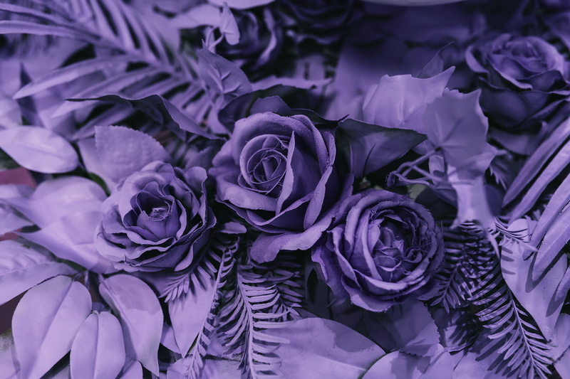 colors, flower head, flowering plant, nature, full frame, flower arrangement, bunch of flowers, bouquet, ultra violet, ultra, beauty in nature, colour of the year